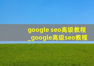 google seo高级教程_google高级seo教程